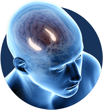 What is Billionaire Brain Wave ?
